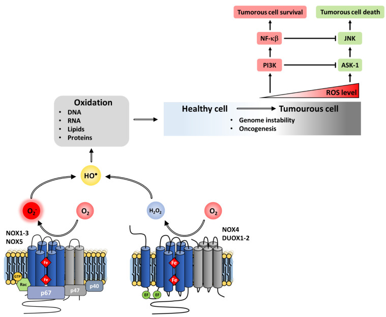 Figure 20