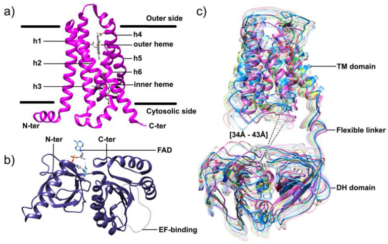 Figure 12