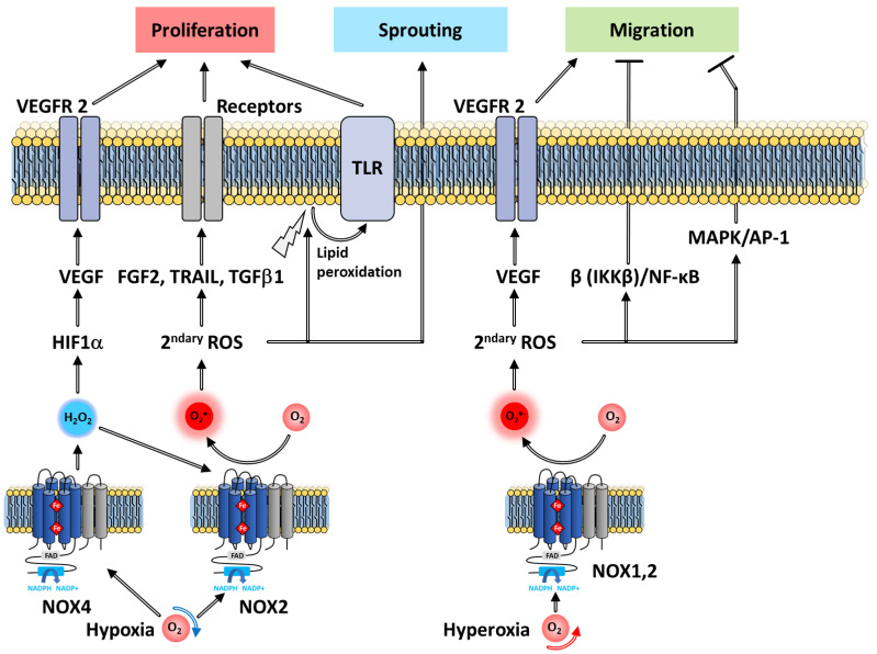 Figure 17