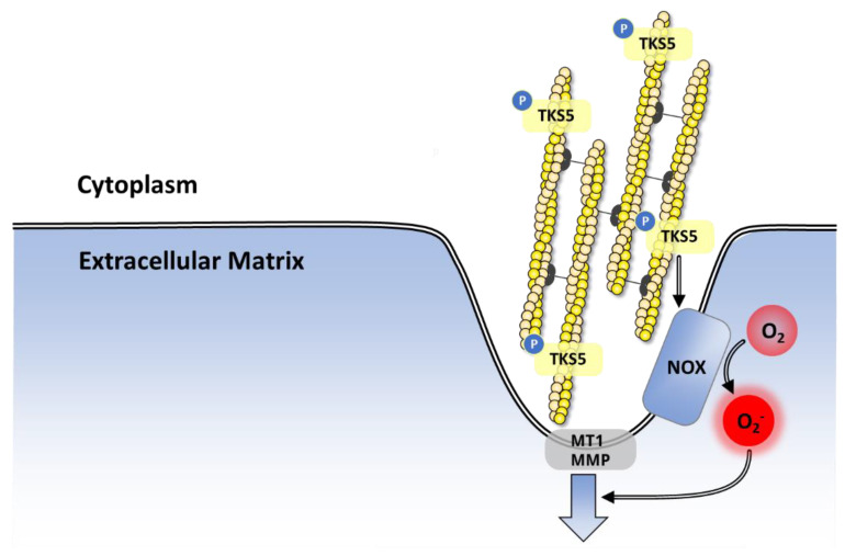 Figure 21