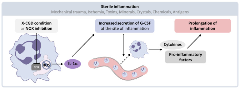 Figure 15