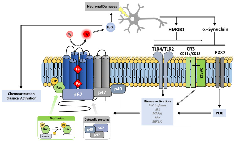 Figure 18