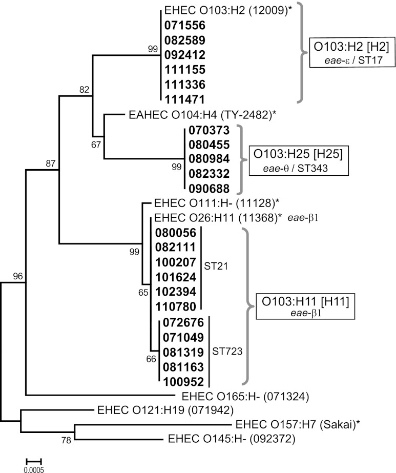 Fig 1