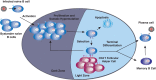 FIG. 1.