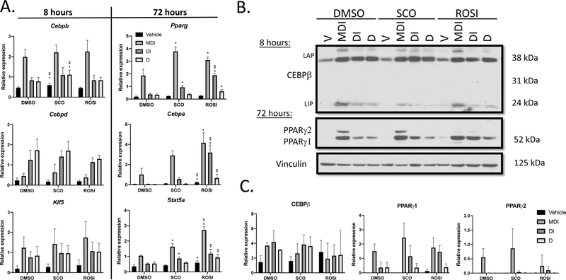 Figure 2: