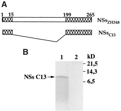 FIG. 1