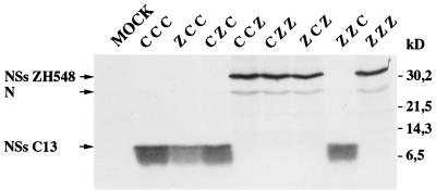 FIG. 5