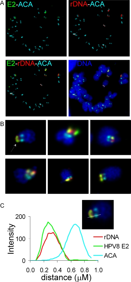 FIG. 7.