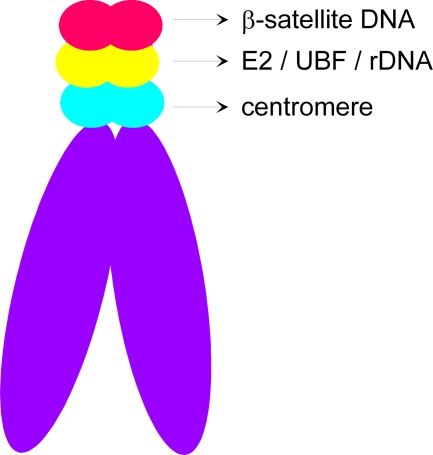 FIG. 9.