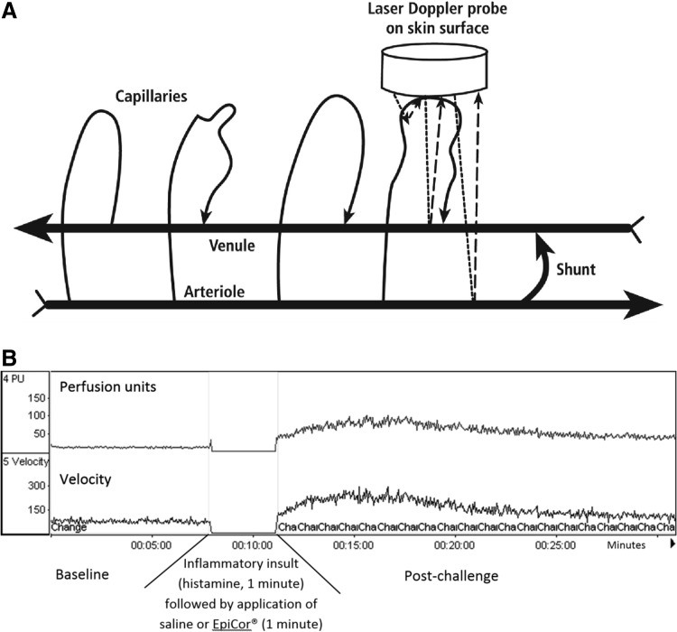 FIG. 2.