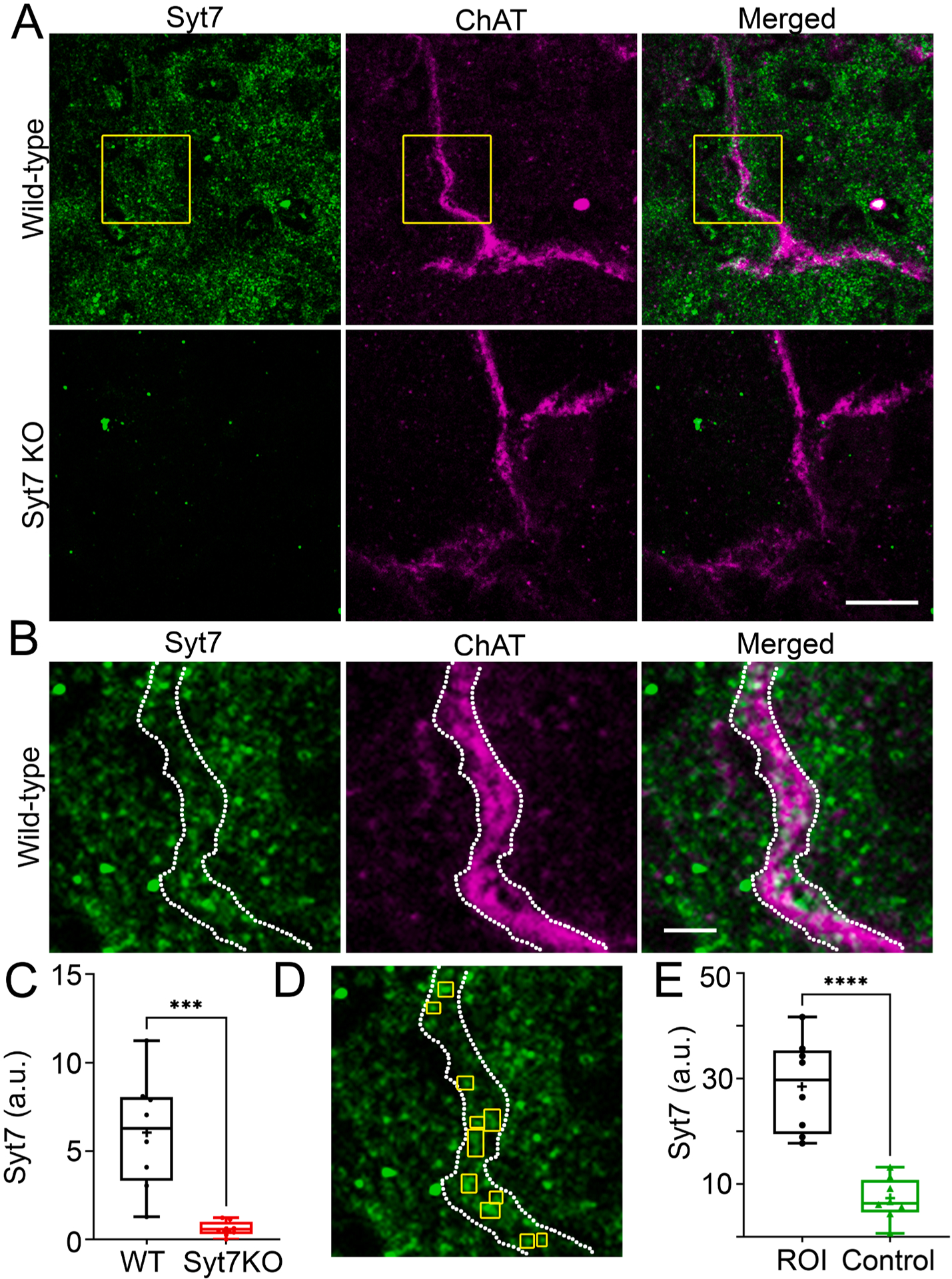 Fig. 4.