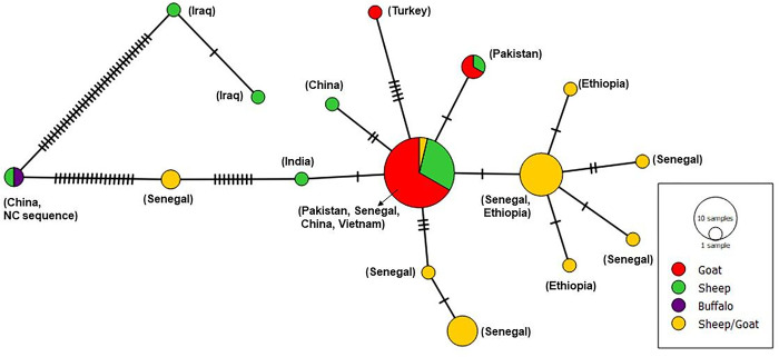 Fig 3