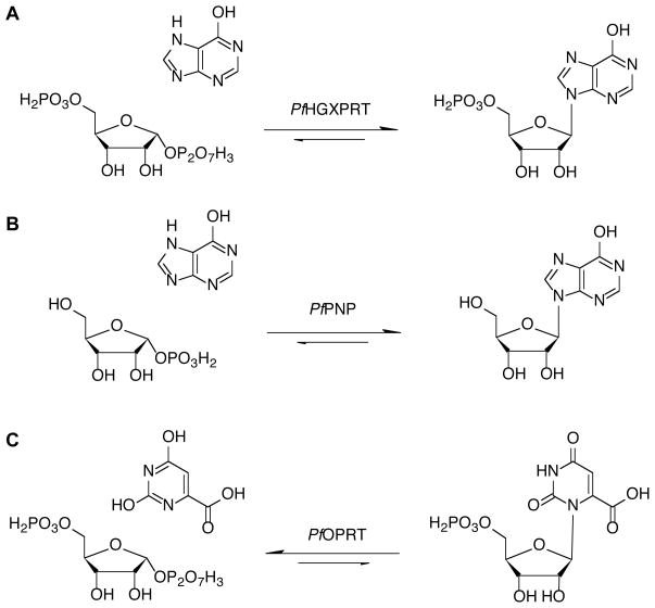 Fig. (3)