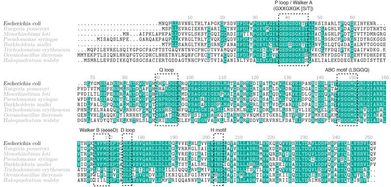 Extended Data Figure 8