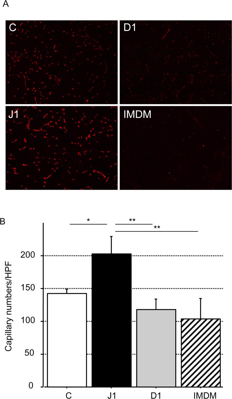 Fig 7