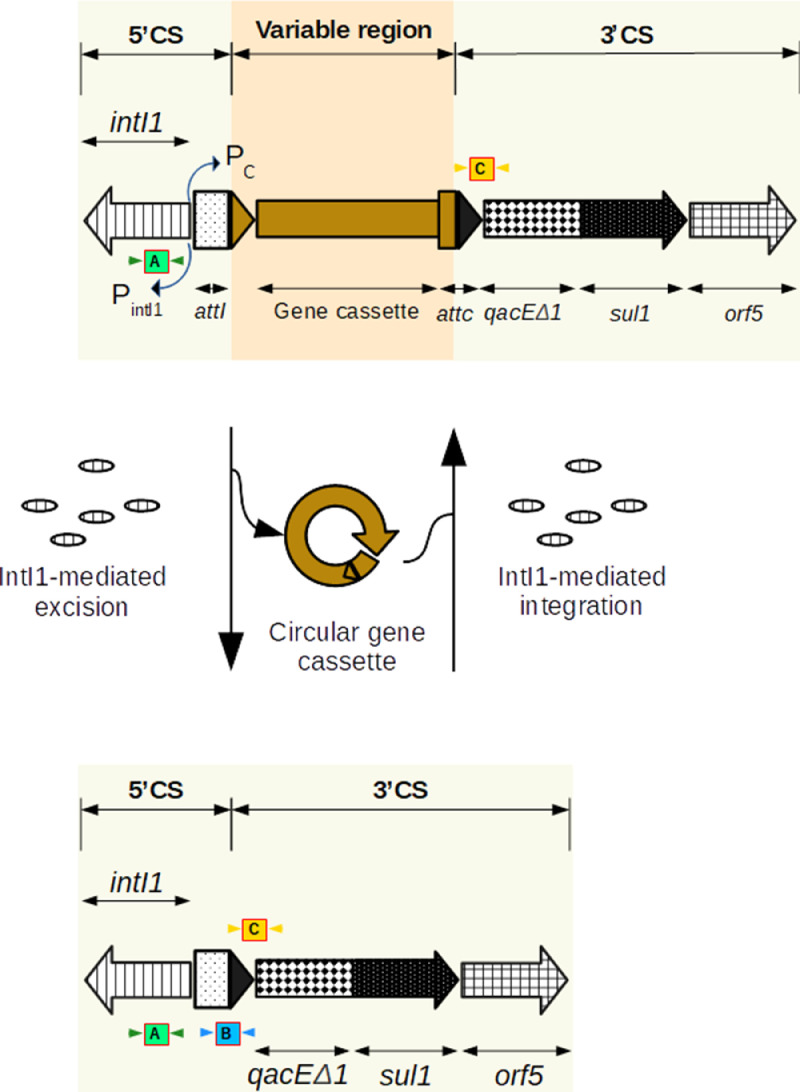 Fig 2