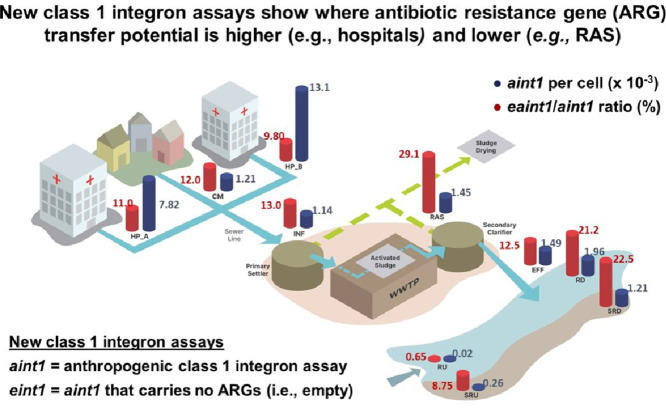 Image, graphical abstract