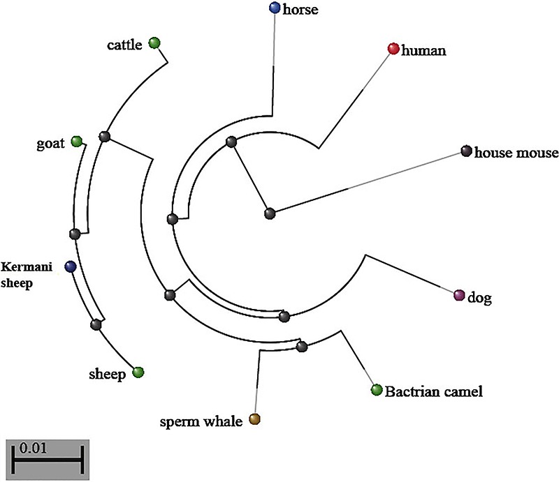 Figure 4.