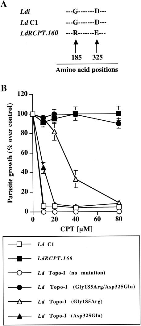 FIG. 4.