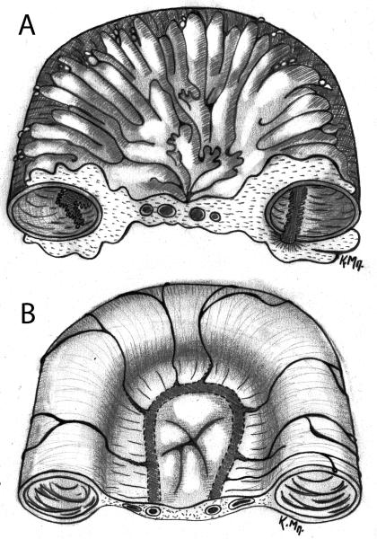 Figure1