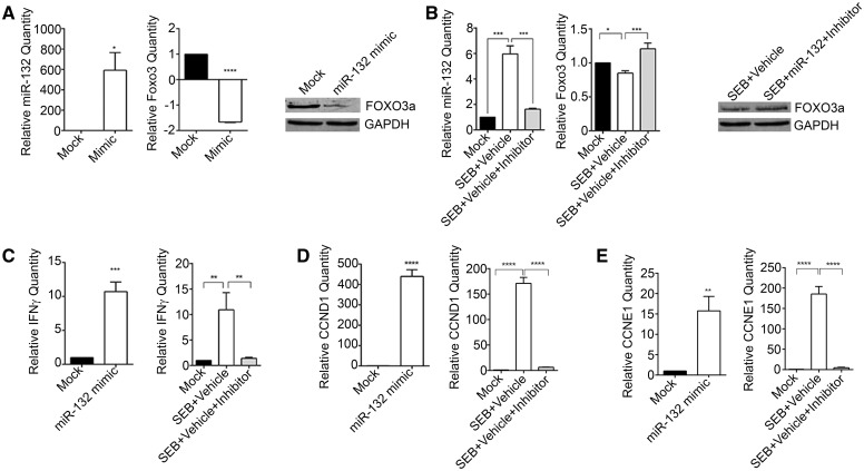 FIG. 9.