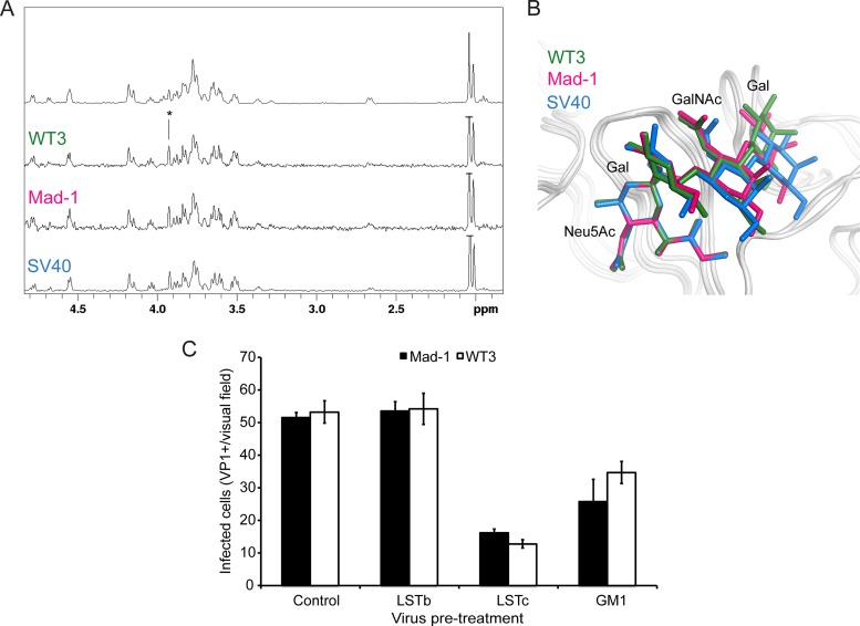 FIG 6