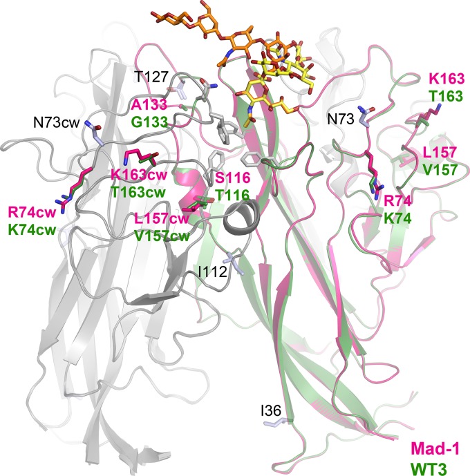 FIG 4