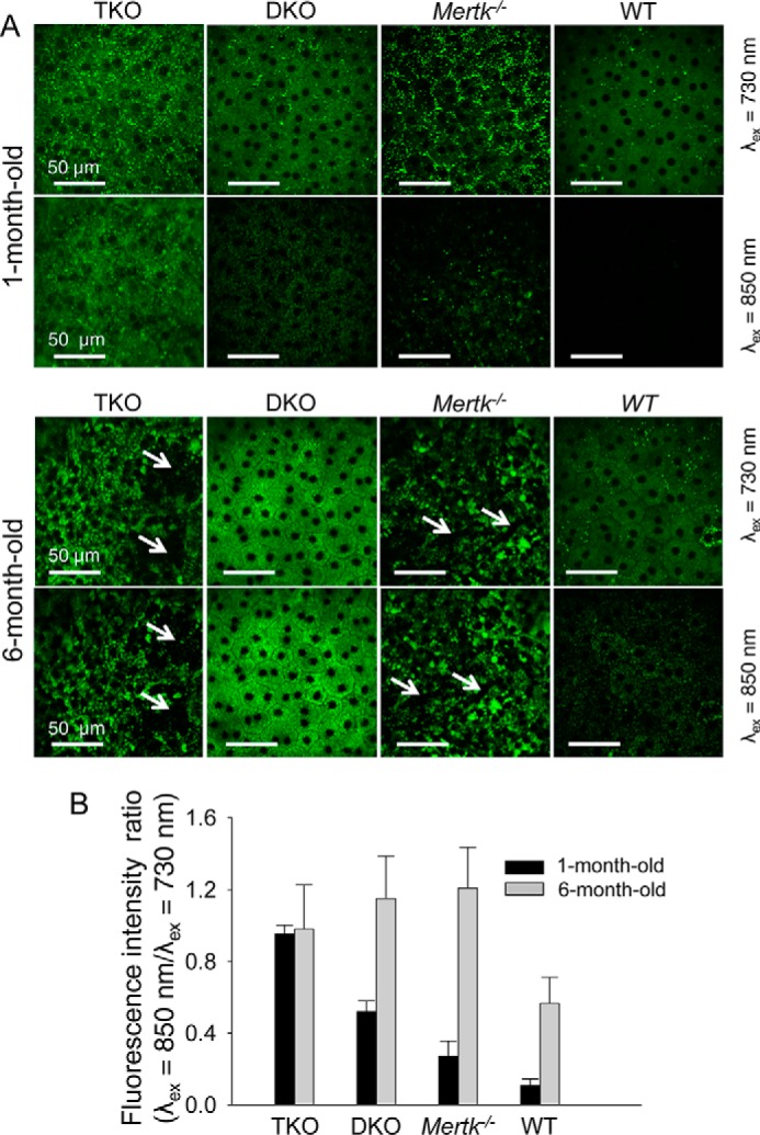 FIGURE 4.