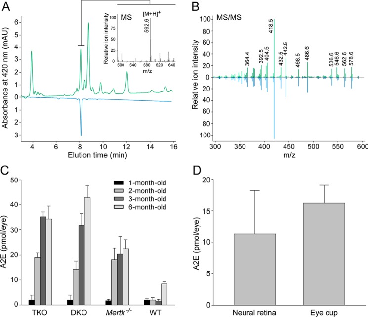 FIGURE 6.