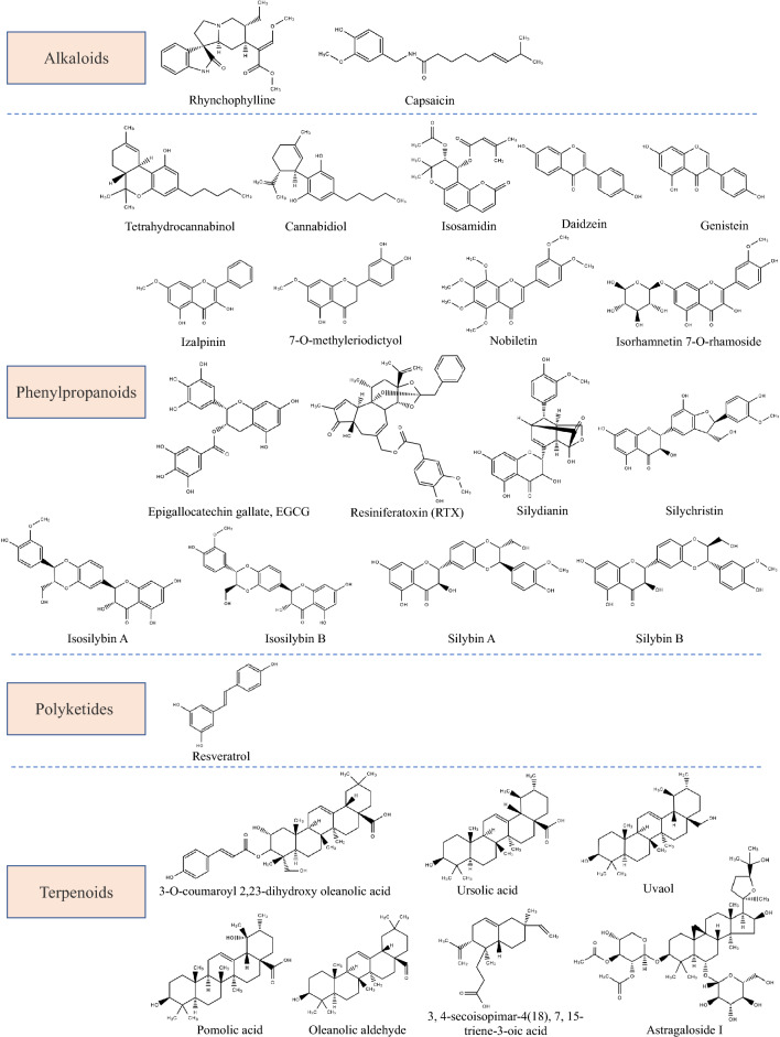 Fig. 3