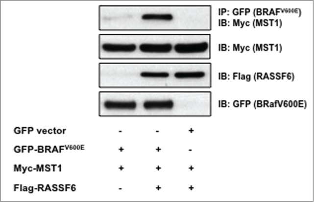 Figure 6.