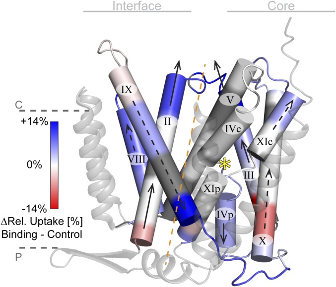 Fig. 4.