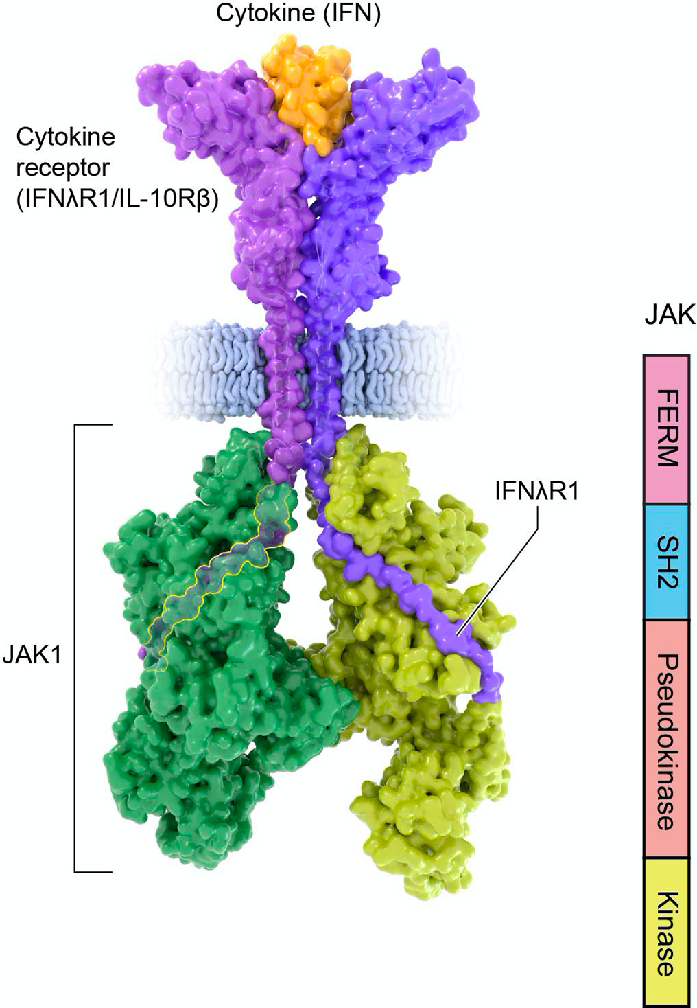 Figure 3.