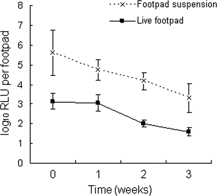 FIG. 4.