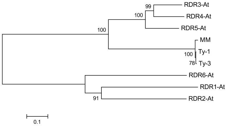 Figure 5