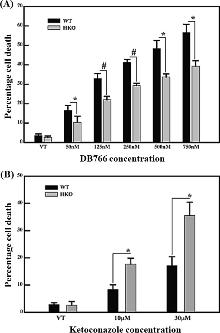 FIG 6