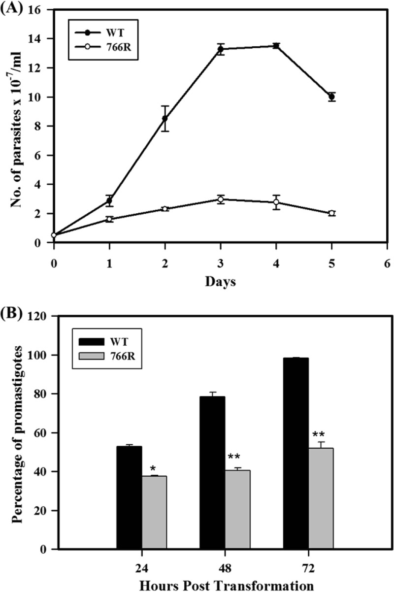 FIG 3