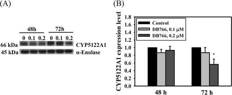 FIG 5