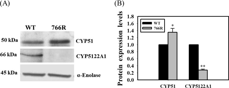 FIG 4