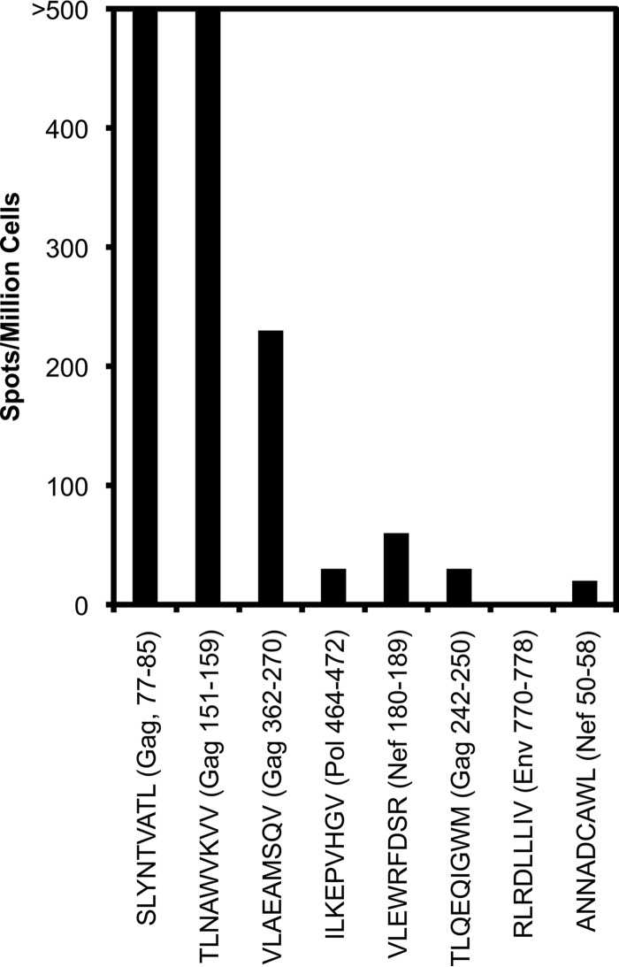 FIG 6