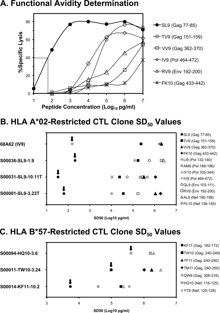 FIG 4