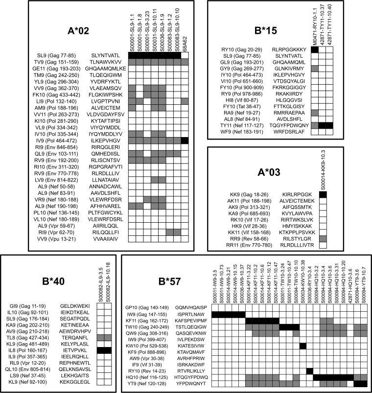 FIG 2