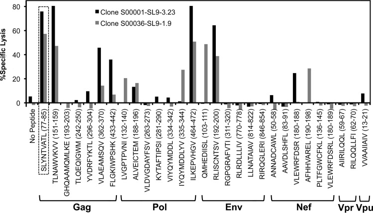 FIG 1