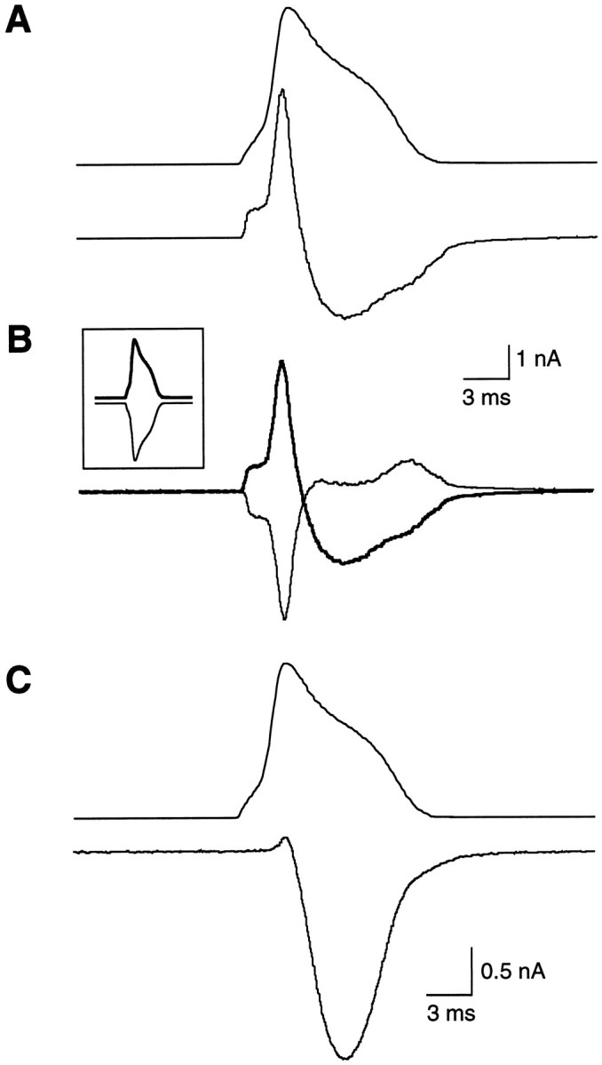 Fig. 1.