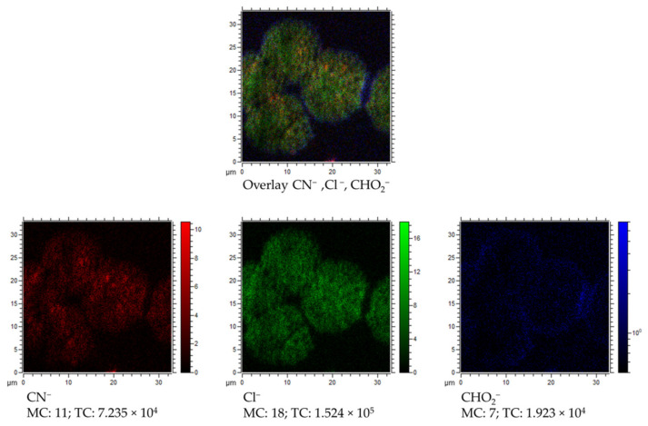 Figure 10