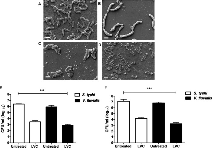 FIG 2