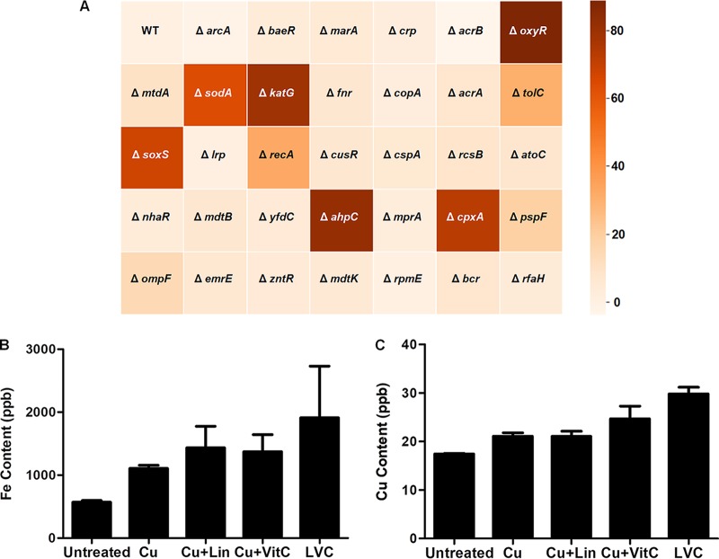 FIG 3