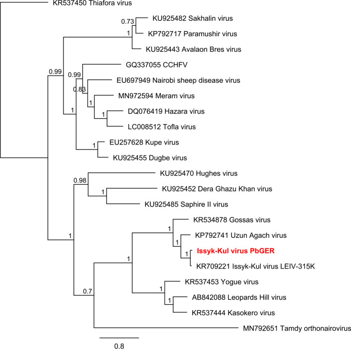 Figure 6