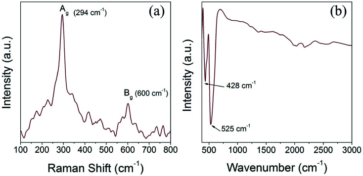 Fig. 6