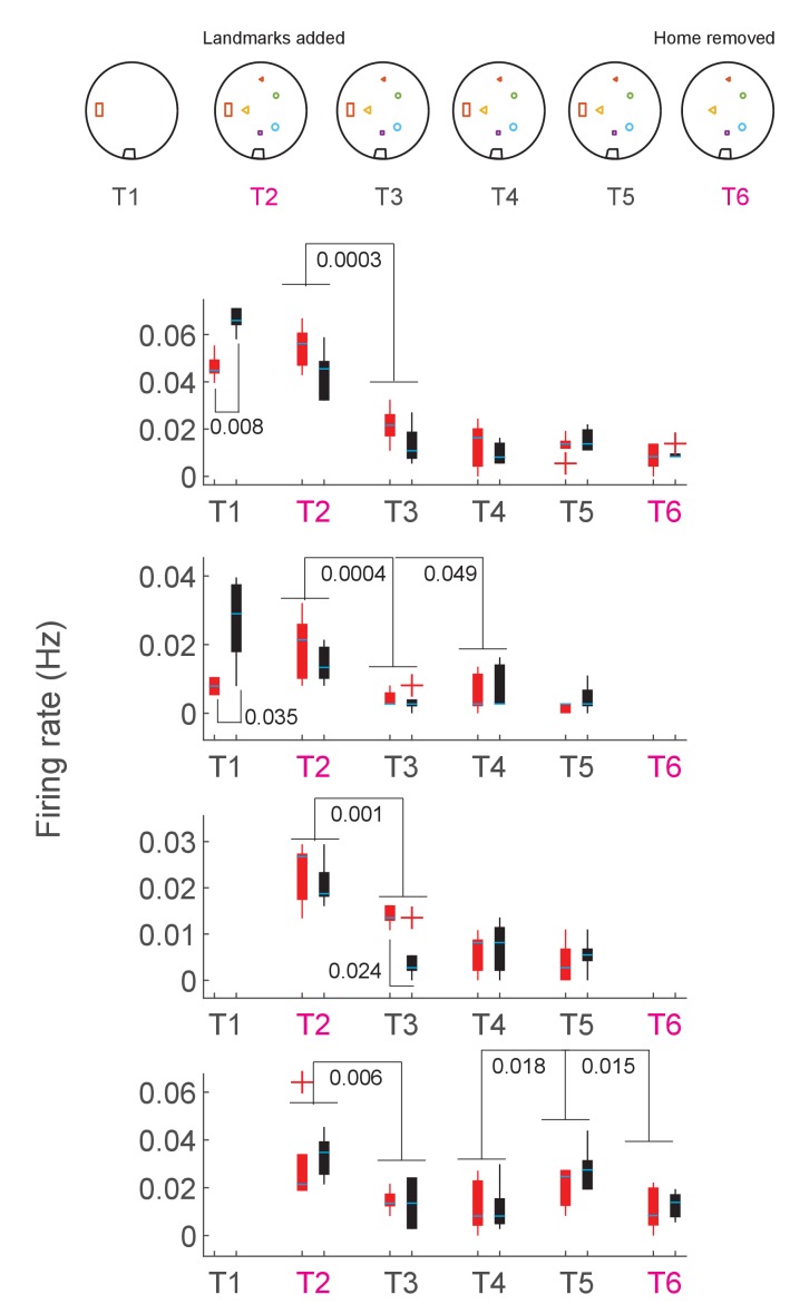 Figure 6—figure supplement 6.